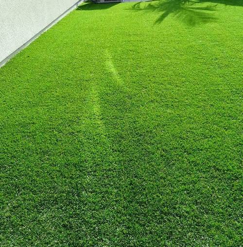 Artificial Grass